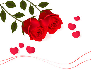 Valentine greeting card with two red roses. Vector.