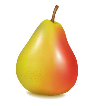 Photo-realistic vector illustration of the ripe pear