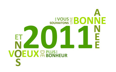 2011 encadrés de mots en vert