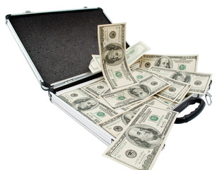 Silver case with dollars