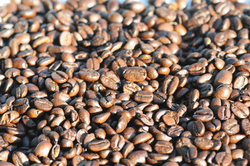 Kaffeebohnen