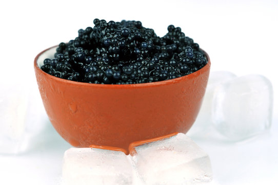Caviar glacé