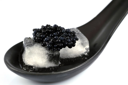 Cuiller de caviar glacée