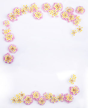 Framework of Pink Caprise Lantana flowers
