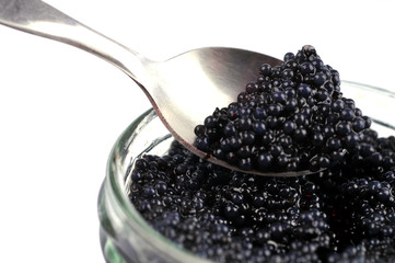 Les œufs de lump noirs