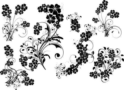 six florals fleurs