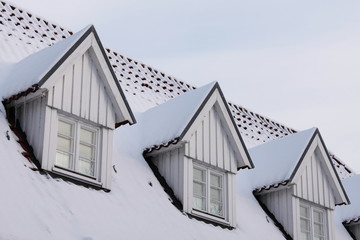 roof with three windows