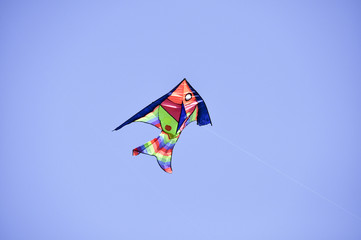 Kite