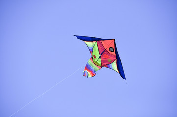 Kite