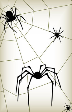 Spider two vector silhouettes background