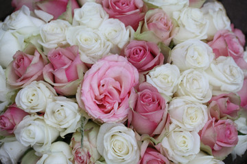 Fototapeta na wymiar pink and white wedding bouquet