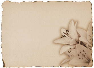 Vintage paper with flowers texture