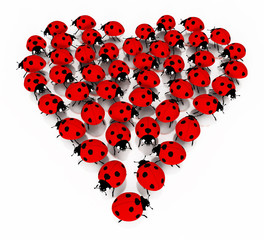 Marienk&auml;fer Herz