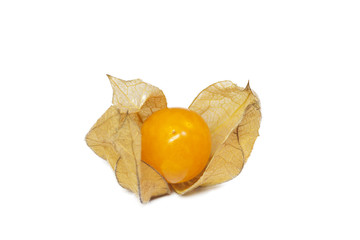 physalis