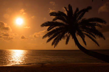Sunset Beach, O'ahu, Hawaii.. - obrazy, fototapety, plakaty