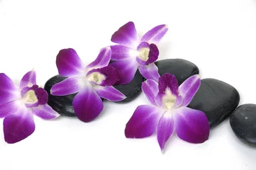 Gordijnen Spa essentials-orchid with pyramid of stones © Mee Ting
