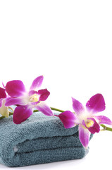 Pink orchid with blue towel