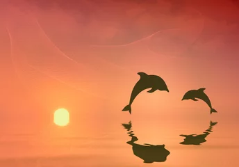 Poster de jardin Dauphins Silhouette de dauphins sautant