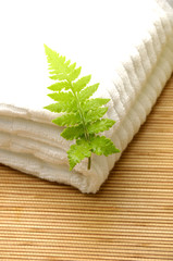 Fern leaf on white towel
