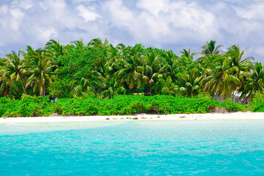 Holiday Paradise