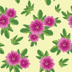 Poster Tropische planten vector naadloze bloementextuur met malva bloemen