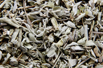 Salbei