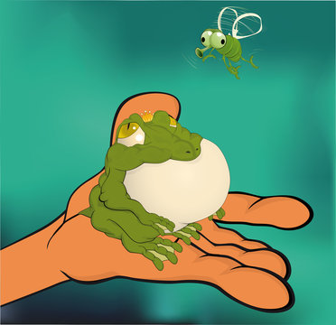 The princess a frog and a fly