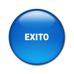 Boton brillante texto EXITO