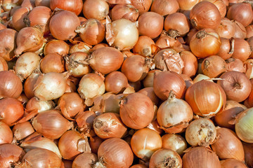 Onion at the market