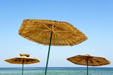 Summer parasols