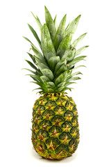 Obraz premium ripe pineapple fruit over a white background