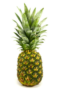 ripe pineapple fruit over a white background