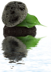 composition zen galets et feuille ficus