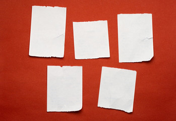 Scraps isolated on red