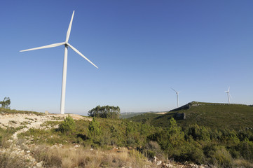 Windrad