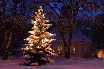 Weihnachtsbaum