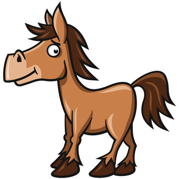 Pferd