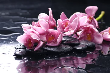 Rolgordijnen schoonheid orchidee en steen met waterdruppels © Mee Ting