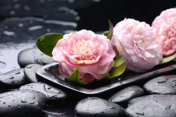 Keuken spatwand met foto still life with bowl of pink Camellia flower © Mee Ting