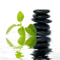 Stacked stones with leaf