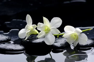 Keuken foto achterwand Beauty row of orchid and stone with reflection © Mee Ting