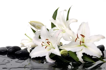 Foto op Plexiglas madonna lily and spa stone © Mee Ting