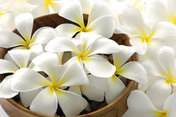 Gordijnen Wooden bowl of white frangipani © Mee Ting