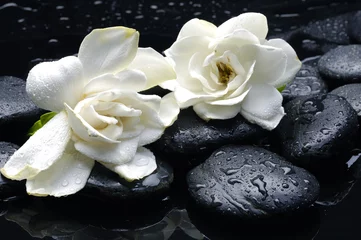 Schilderijen op glas wellness and health /massage stones and gardenia flower © Mee Ting