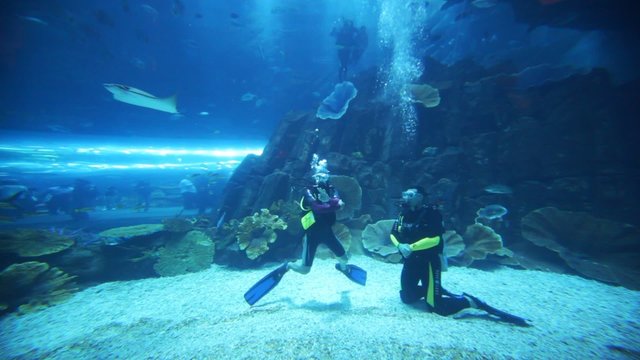 Two divers in oceanarium inside Dubai Mall