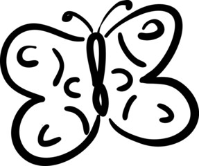 Sketch style butterfly vector illustration