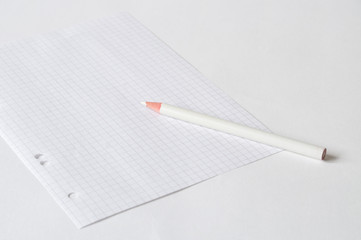 White pencil on white notebook's sheet