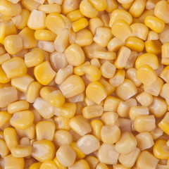 Corn kernels