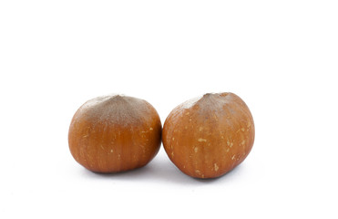 Hazelnuts