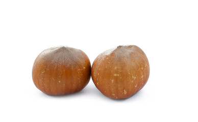Hazelnuts